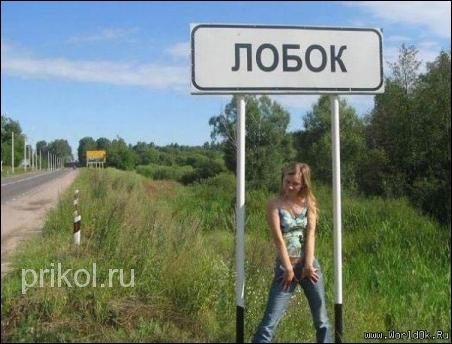 текст при наведении