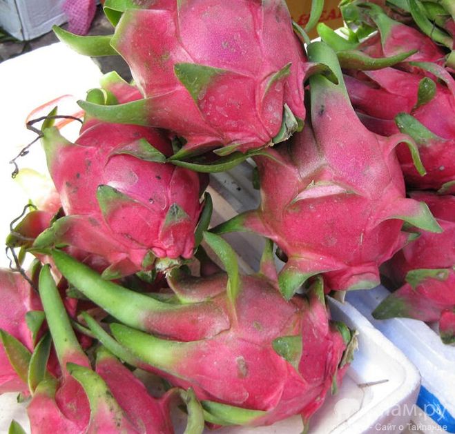 текст при наведении