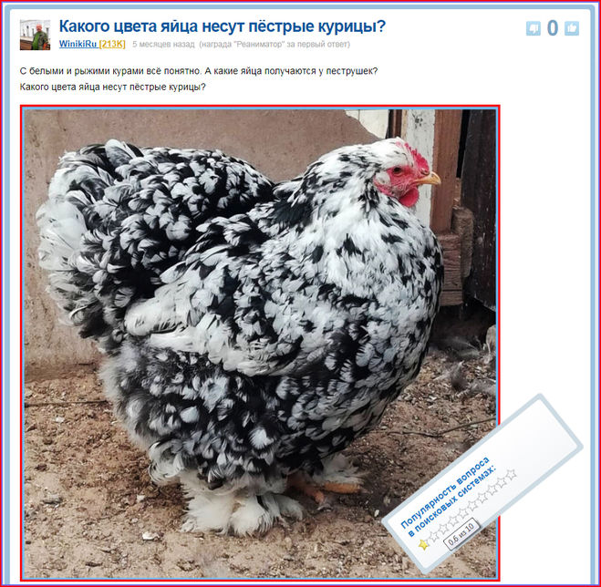 Вопрос о курицах