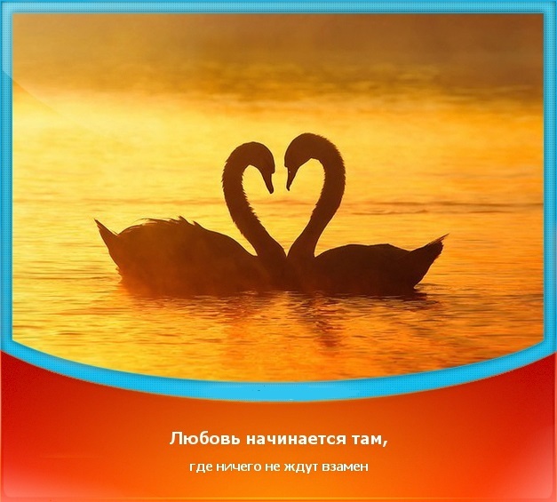 текст при наведении