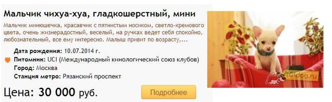 текст при наведении