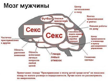 текст при наведении