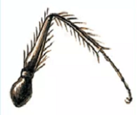 Задача № 46484: 24.3. Животные - Каталог задач по ЕГЭ - Биология Мутаген - Школк