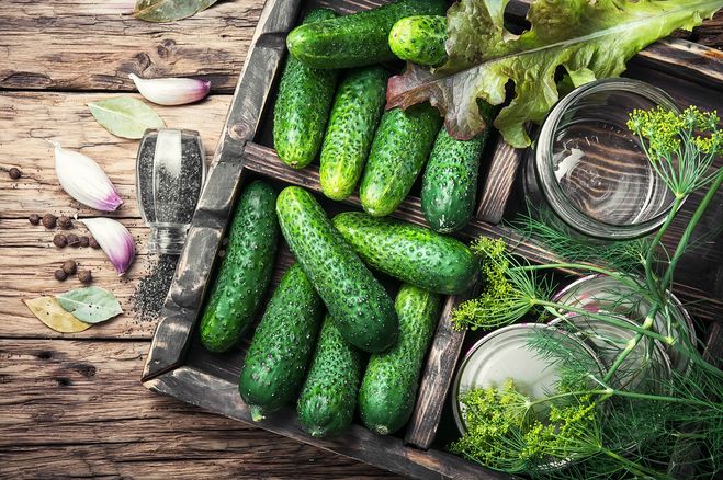 кладут ли в маринованные огурцы хрен