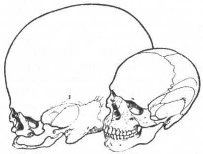 текст при наведении