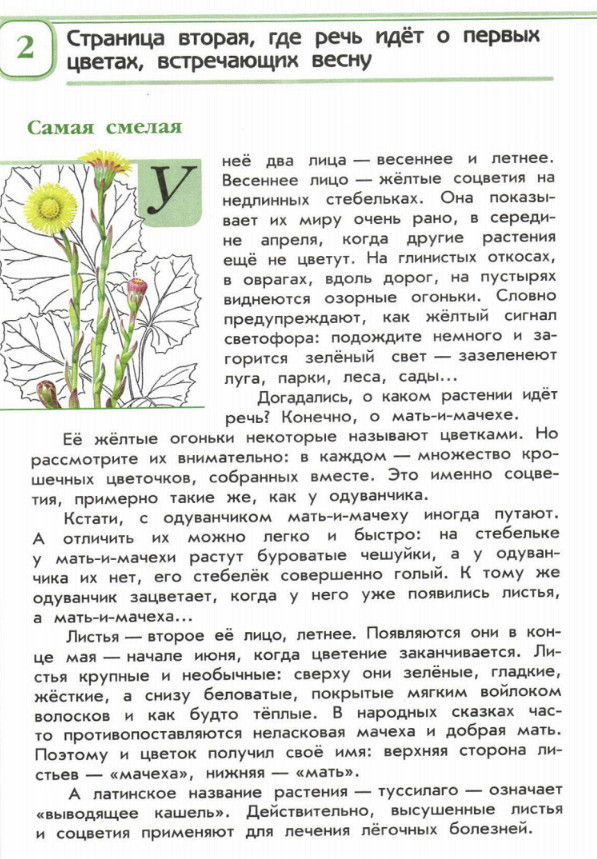 Книга Зеленые страницы. Растения - где читать онлайн?