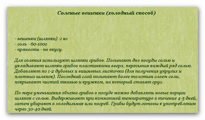 текст при наведении