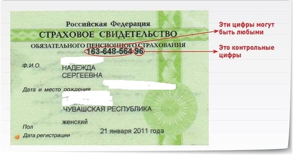 Для чего нужен снилс иностранному гражданину. Для чего нужен снилс иностранному гражданину