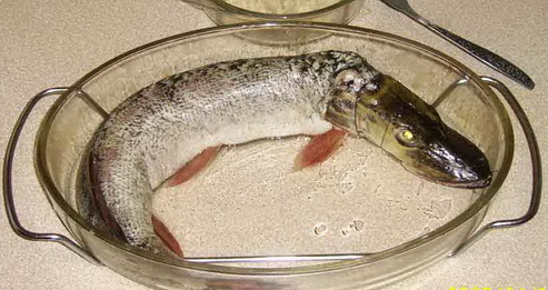 текст при наведении