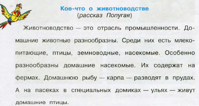 Как научить волнистого попугайчика разговаривать. Лишнее слово попугай мой клей лишай. Загадка про попугая. Задание лишнее слово. Текст про попугая.
