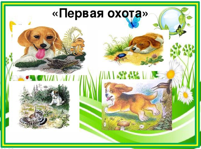 1 охота бианки. 1 охота бианки. Первая охота главные герои. Первая охота главные герои. Первая охота жук бомбардир бианки.