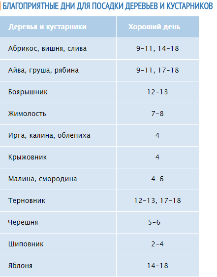 Лучшие дни для посадки деревьев в апреле. Лучшие дни для посадки деревьев в апреле