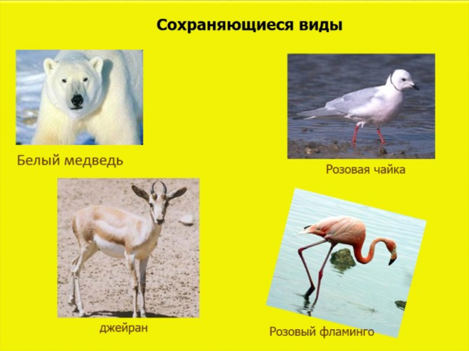 Как оформить красную книгу своими руками