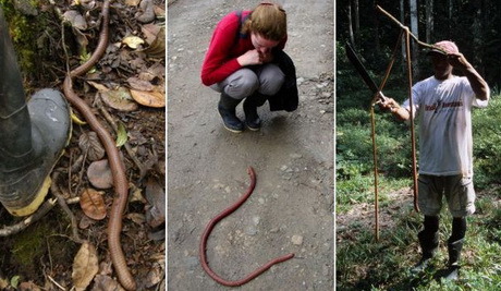 текст при наведении