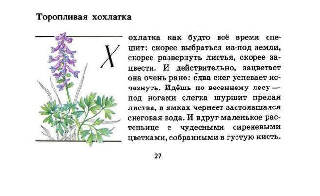 Зеленые страницы примеры растений
