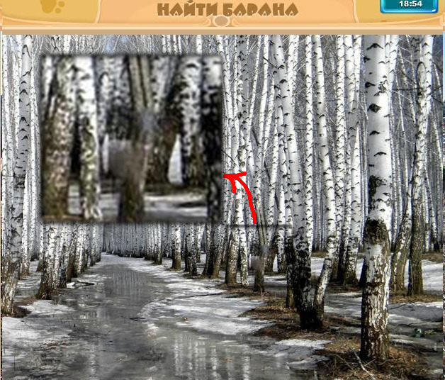 текст при наведении