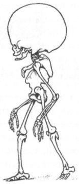 текст при наведении