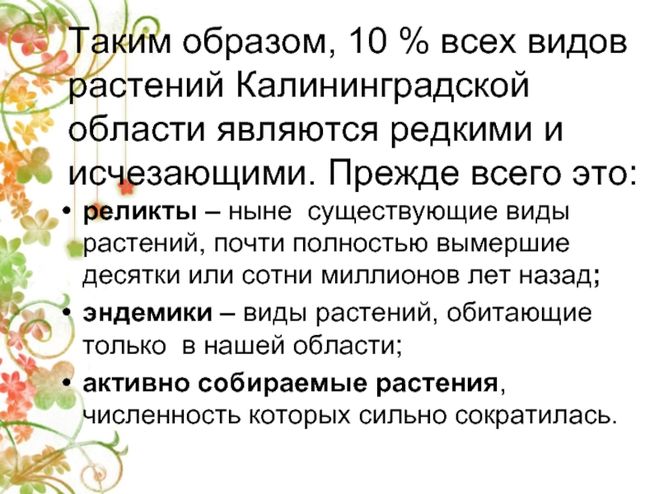 Красная книга Калининградской области. Животные - презентация, доклад, проект ск