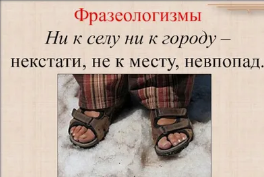 Как ответить на фразу "ни к селу ни к городу"?