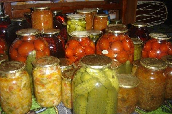 текст при наведении