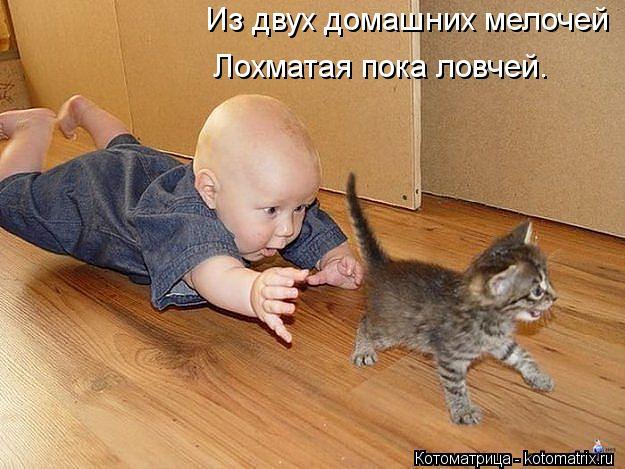 текст при наведении