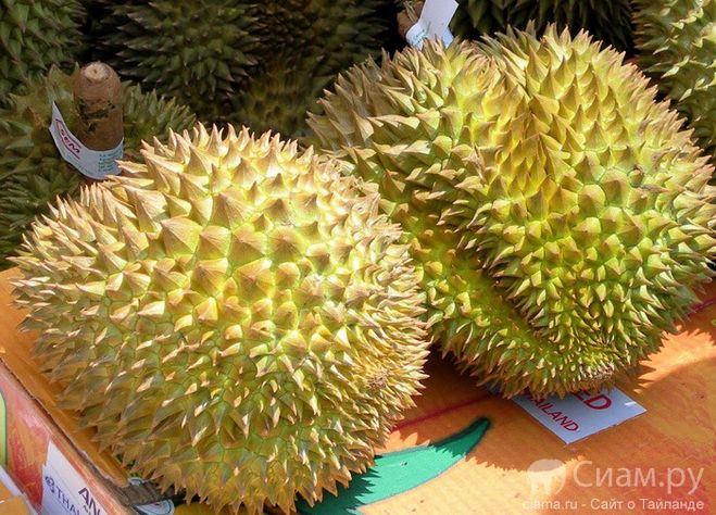 текст при наведении