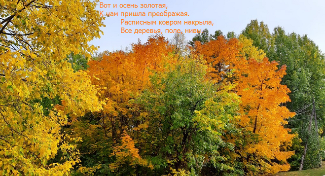 Информация