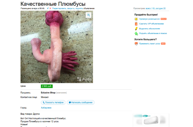 плюмбус