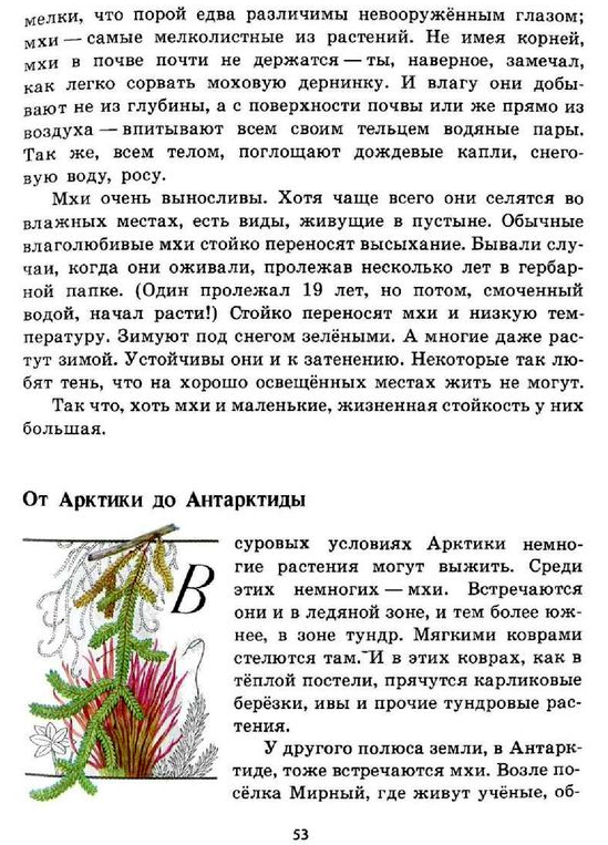 Плешаков зеленые страницы читать. Книга зелёные страницы 3. зеленые страницы растения. книга зеленые страницы растения. зелёные страницы 3 класс растения.