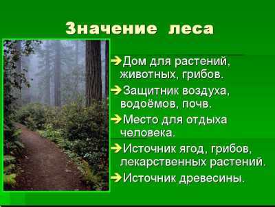 Окружающий мир 4 класс проект лес