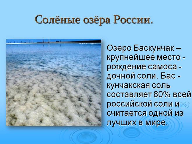 Какое озеро в россии самое соленое