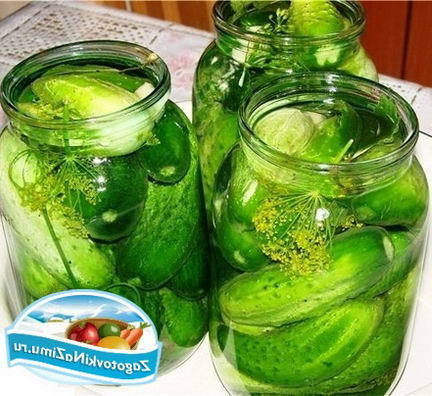 Огурцы консервированные