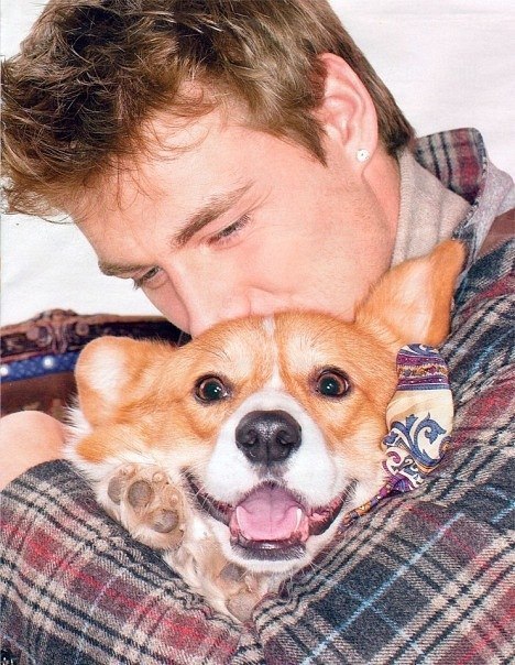 Собака Алексея Воробьева: порода, описание