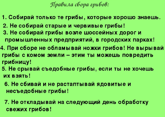 Почему грибы надо срезать. Почему грибы надо срезать