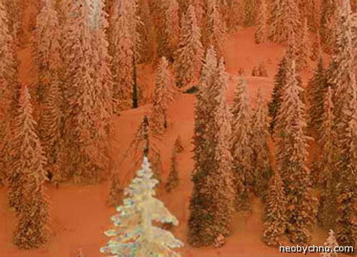 текст при наведении