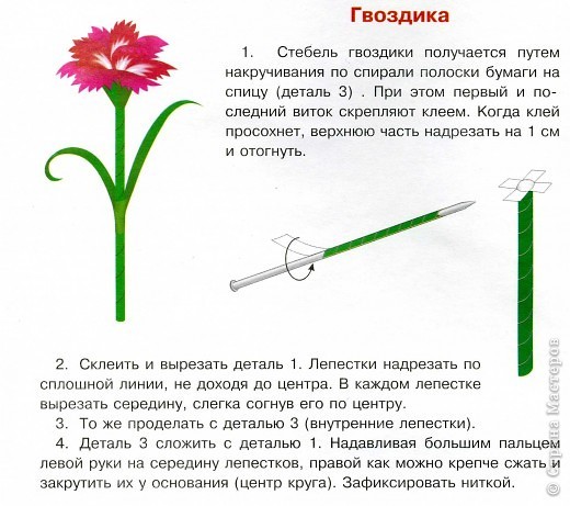 Шаблоны гвоздики для вырезания из бумаги к 9 мая на окна, как вырезать?