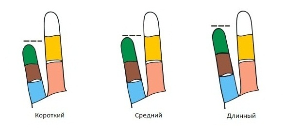 Прямой мизинец. Длинные фаланги пальцев. конусовидные прямые пальцы. короткий мизинец на руке генетика.
