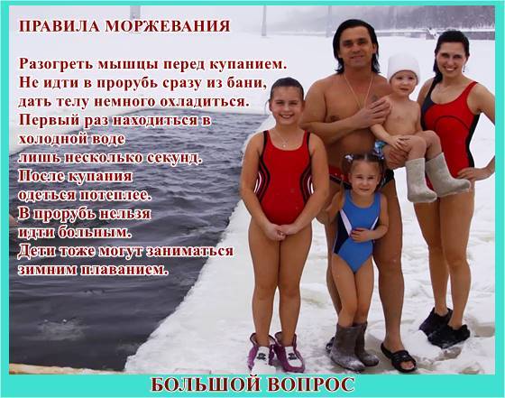 моржи, люди, презентация, доклад