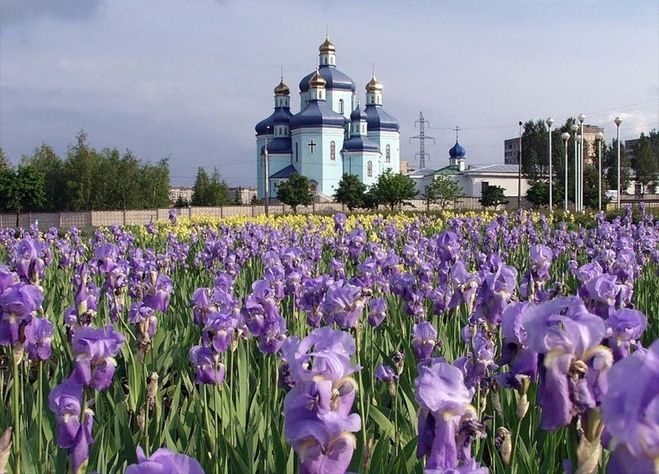 текст при наведении