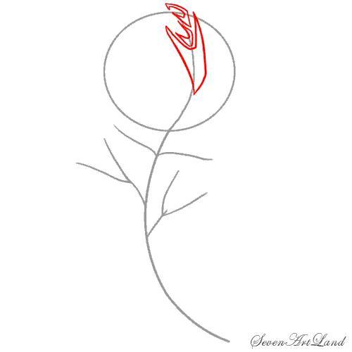 текст при наведении