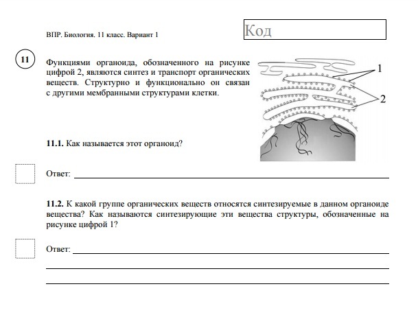 Впр по биологии 8 класс вариант 2. Впр по биологии 8 класс вариант 2