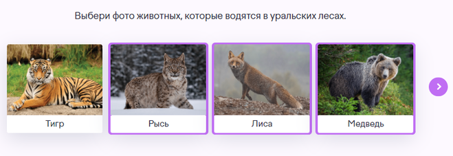 Выбери животных которые не. Фото животных которые водятся в уральских лесах.