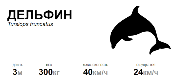 Скорость дельфина в 2 раза. Скорость дельфина в 2 раза
