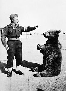 текст при наведении