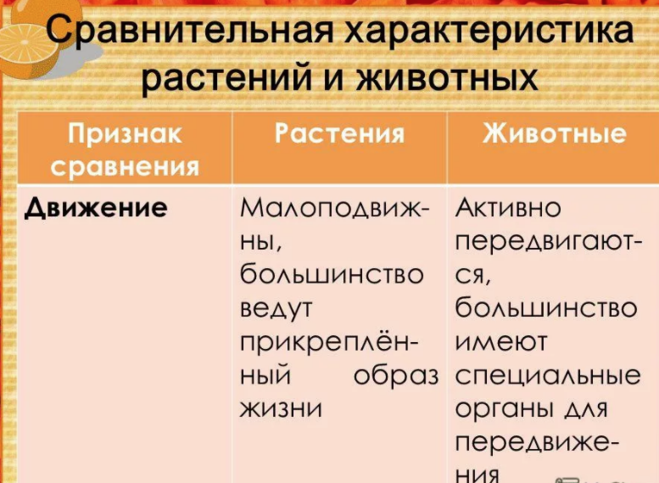 Отличие животных от растений таблица 8 класс. Движение растений и животных. передвижение растений и животных. особенности растений и животных. сравнение движения растений и животных.