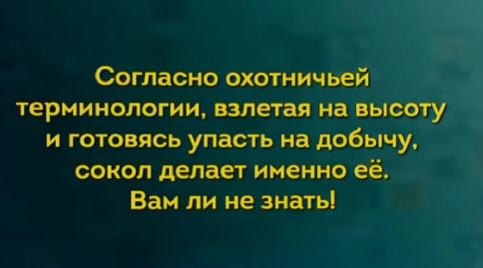 "Своя игра" 8.09.24 (финал) победитель турнира Игорь Мокин, справедливо?