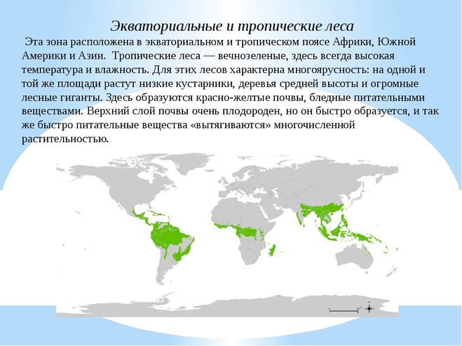 Где находится мокрое. Где находится мокрое