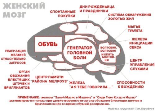 текст при наведении