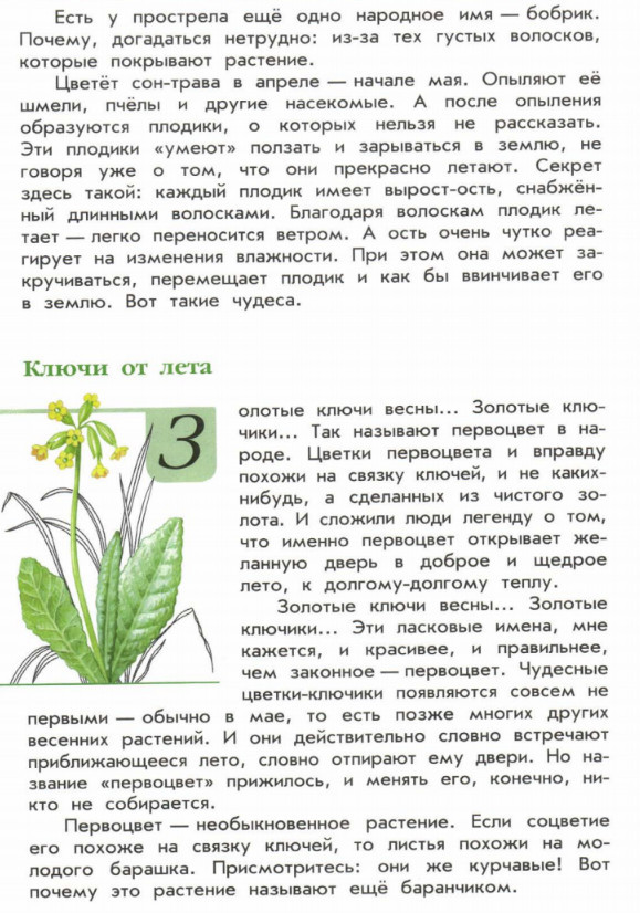 Книга Зеленые страницы. Растения - где читать онлайн?