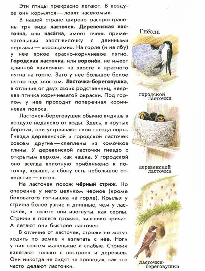 Атлас-определитель от Земли до неба: ласточки и стрижи - где найти текст?
